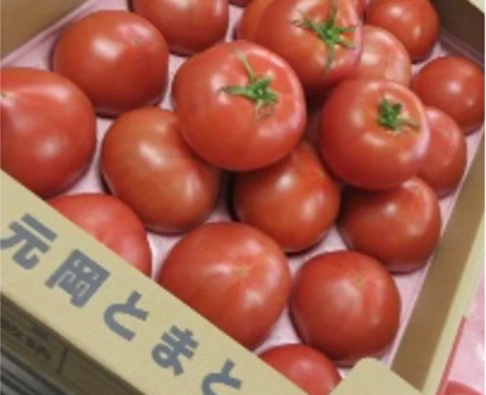 Box of fresh red tomatoes packed in a cardboard crate with Japanese writing on the side