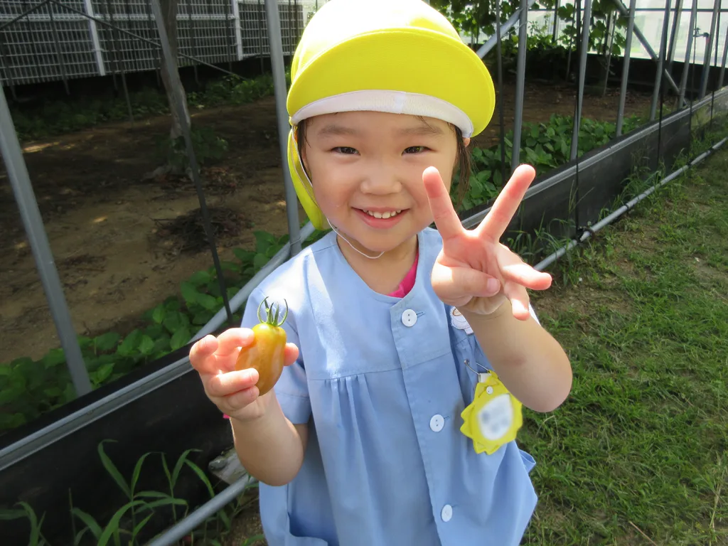 Smiling child wearing a yellow helmet and light blue shirt, holding a small orange tomato and flashing a peace sign outdoors in a garden.