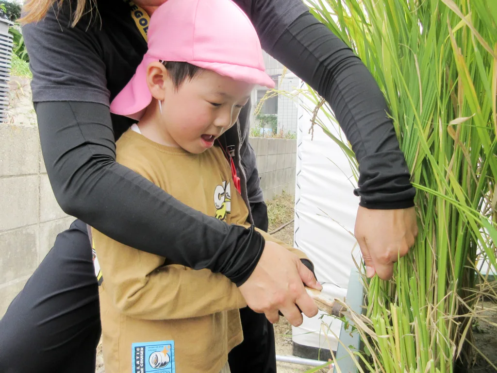 Adult guiding a young child as they cut tall green plant stalks with a knife outdoors.