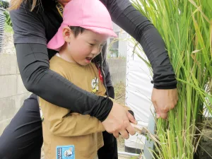 Adult guiding a young child as they cut tall green plant stalks with a knife outdoors.