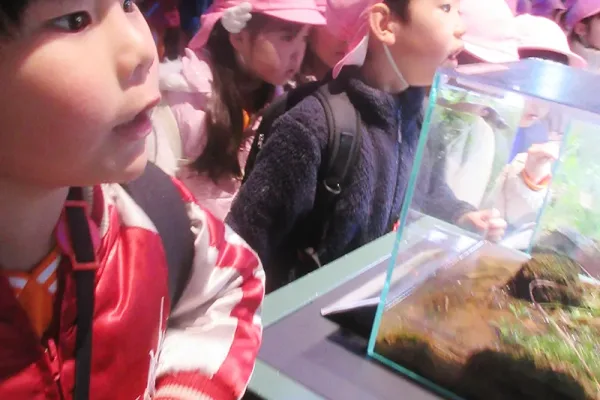 お別れ遠足！大興奮でした！