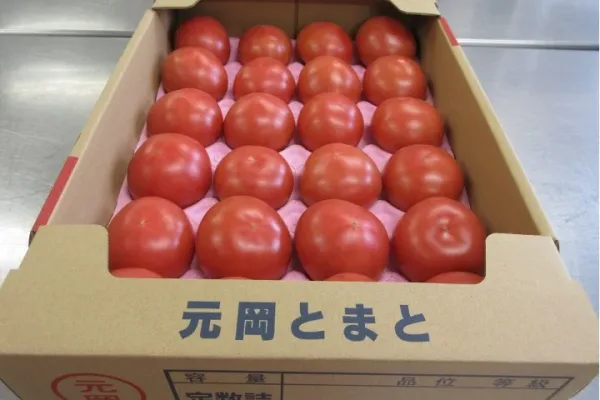 図1