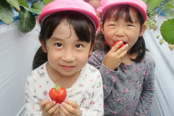 いちご狩り、甘くておいしかったよ！！