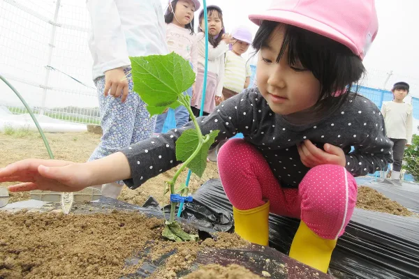 野菜の苗植えをしたよ！大きくなぁ～れ！
