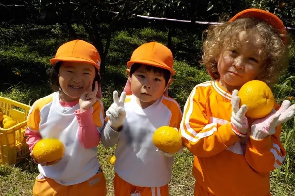みかん狩り♪
