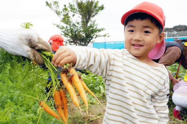 赤カブとミニニンジン