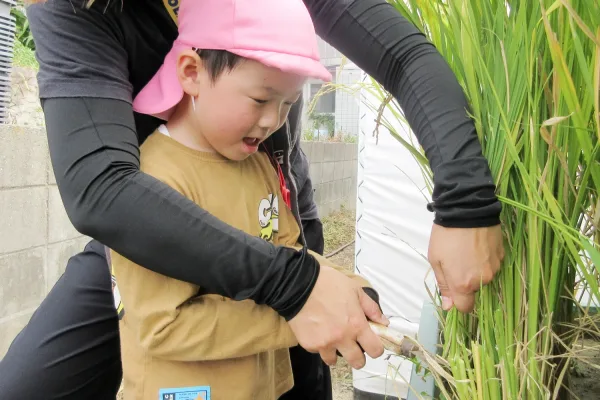 Adult guiding a young child as they cut tall green plant stalks with a knife outdoors.