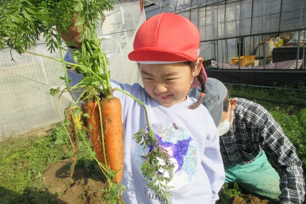 立派な人参が収穫できました！